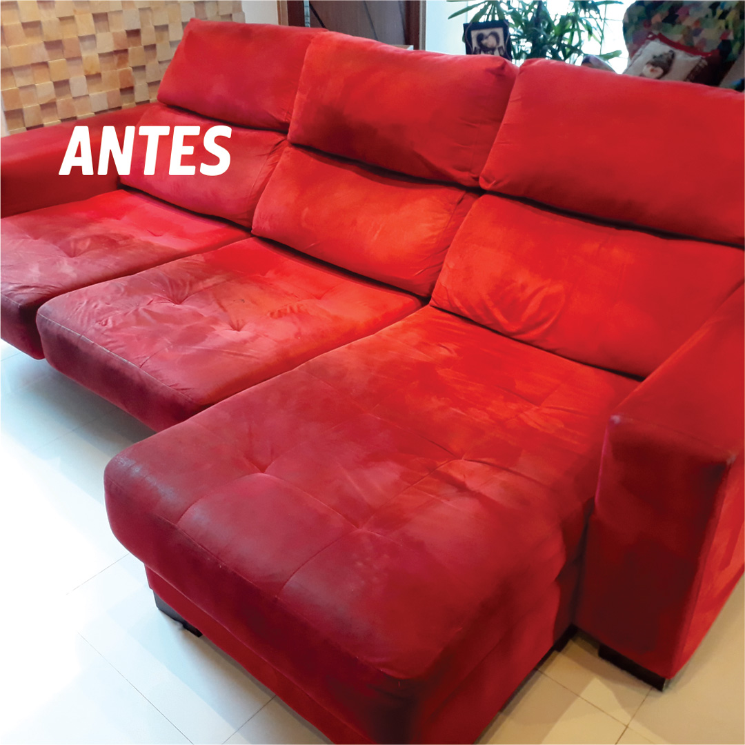 higienização de estofados no ambaí